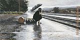 Leaving in the Rain by Steve Hanks